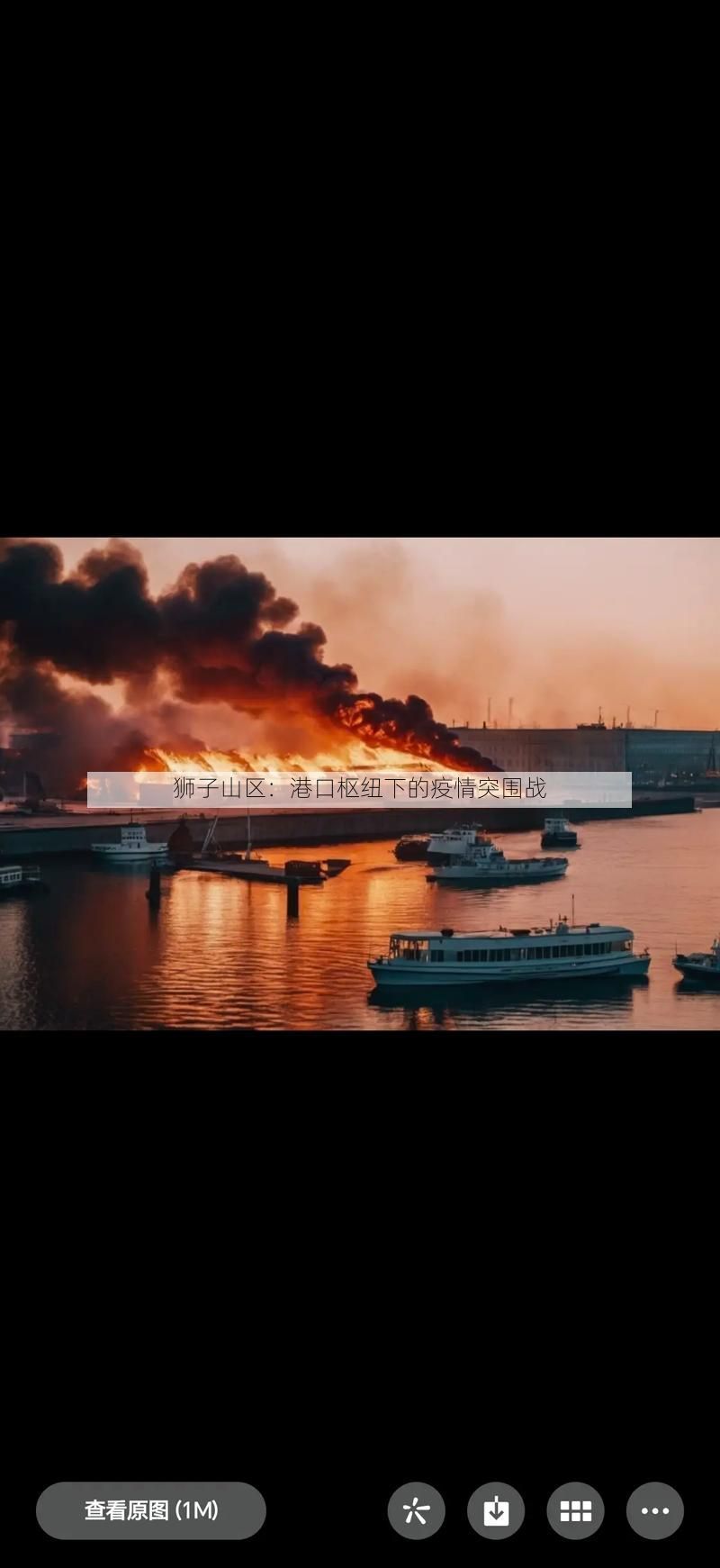 狮子山区:港口枢纽下的疫情突围战