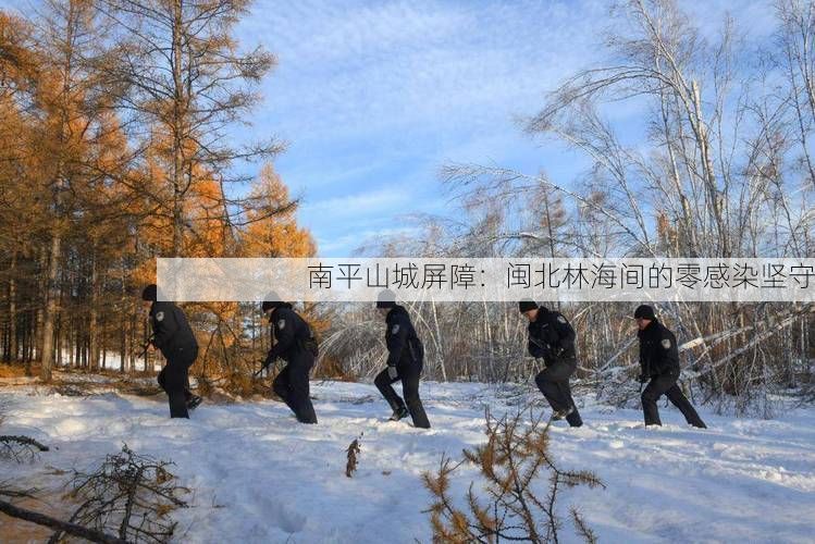 南平山城屏障：闽北林海间的零感染坚守