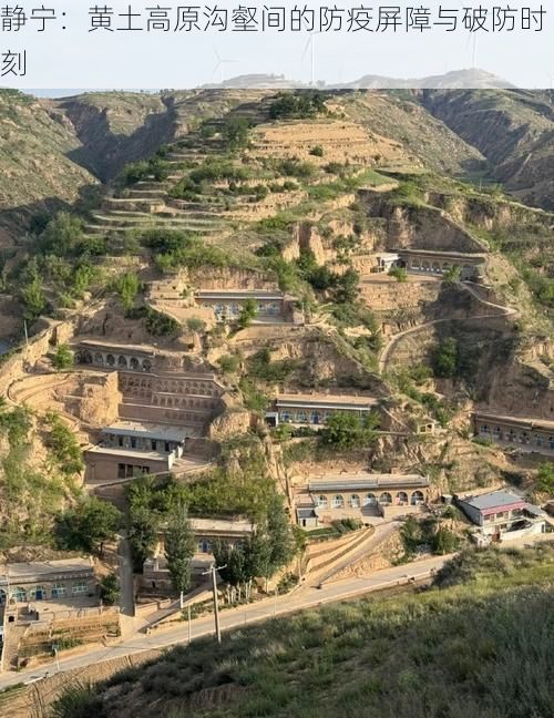 静宁：黄土高原沟壑间的防疫屏障与破防时刻
