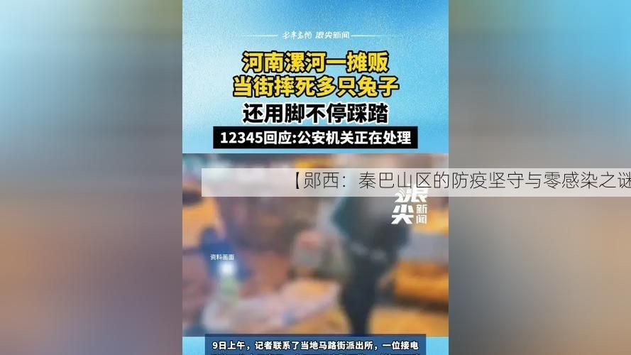 【郧西：秦巴山区的防疫坚守与零感染之谜】