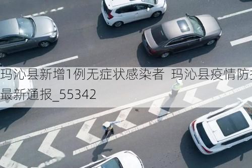 玛沁县新增1例无症状感染者 玛沁县疫情防控最新通报_55342