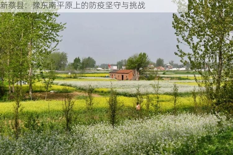 新蔡县：豫东南平原上的防疫坚守与挑战