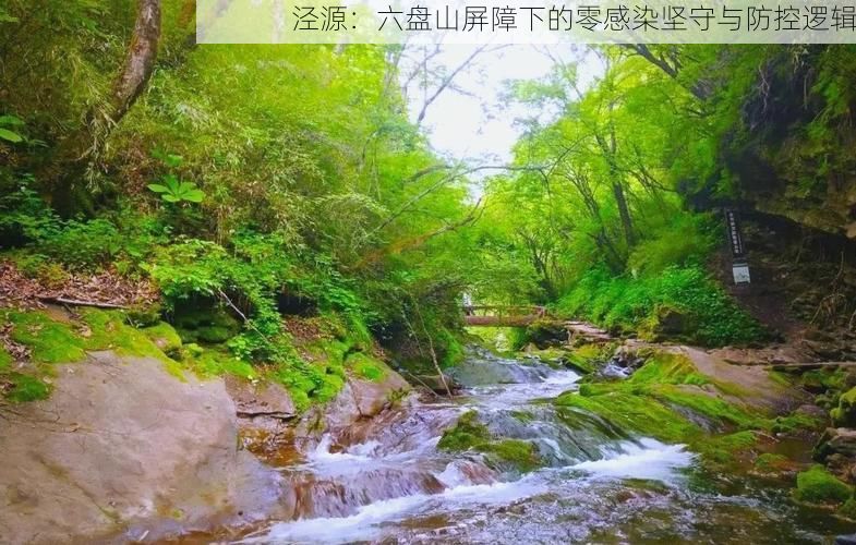 泾源：六盘山屏障下的零感染坚守与防控逻辑