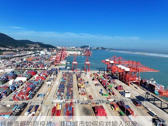 台州湾畔的防疫战:港口城市如何应对输入风险