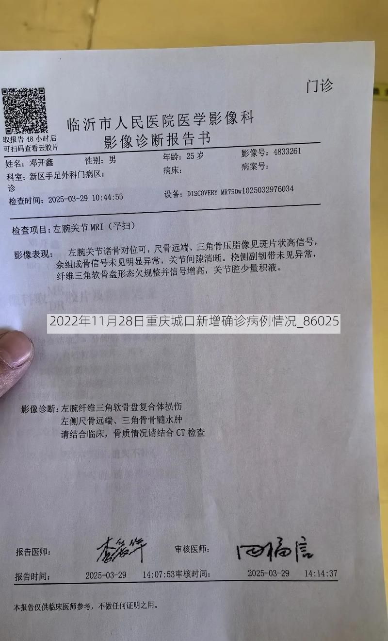 2022年11月28日重庆城口新增确诊病例情况_86025