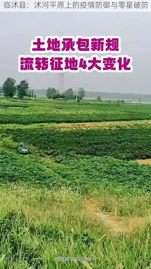 临沭县：沭河平原上的疫情防御与零星破防