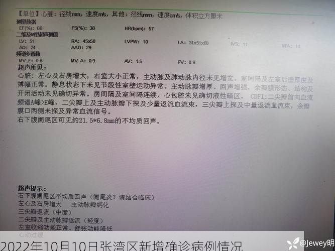 2022年10月10日张湾区新增确诊病例情况