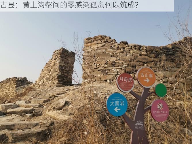 古县：黄土沟壑间的零感染孤岛何以筑成？