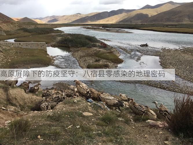 高原屏障下的防疫坚守：八宿县零感染的地理密码