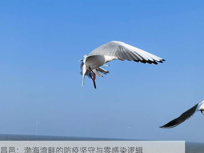 昌邑：渤海湾畔的防疫坚守与零感染逻辑