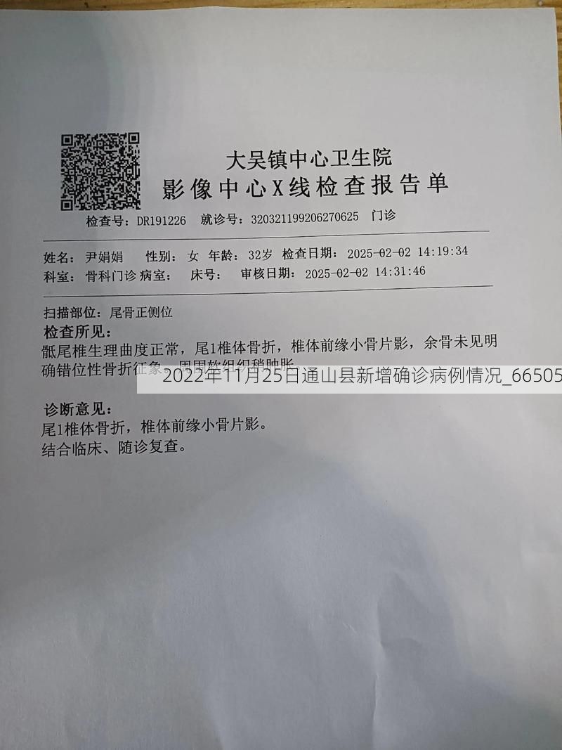 2022年11月25日通山县新增确诊病例情况_66505