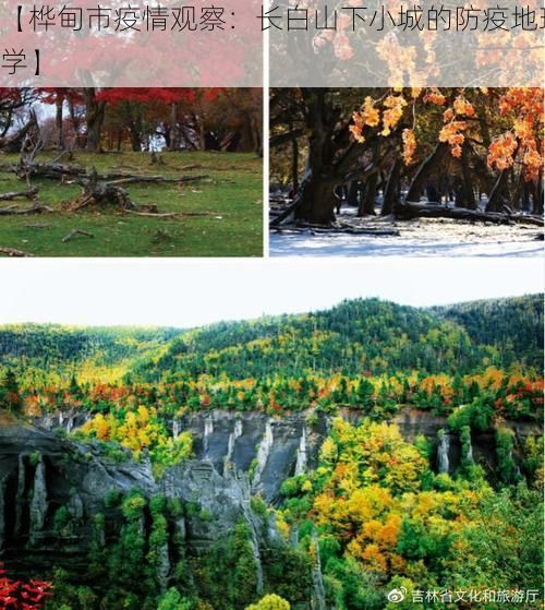 【桦甸市疫情观察：长白山下小城的防疫地理学】