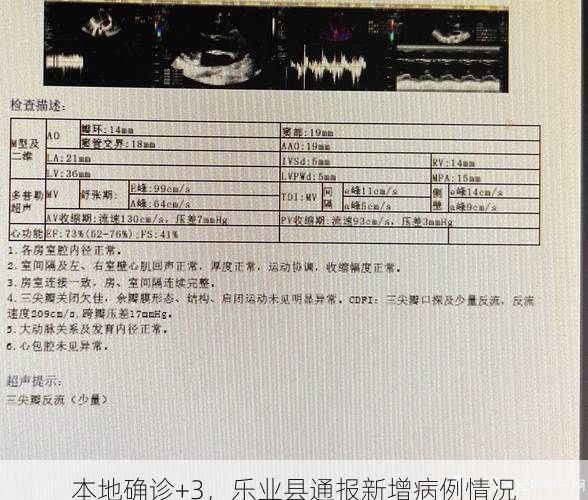 本地确诊+3，乐业县通报新增病例情况