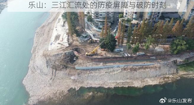 乐山：三江汇流处的防疫屏障与破防时刻