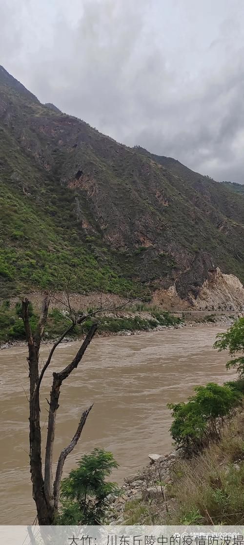 大竹：川东丘陵中的疫情防波堤