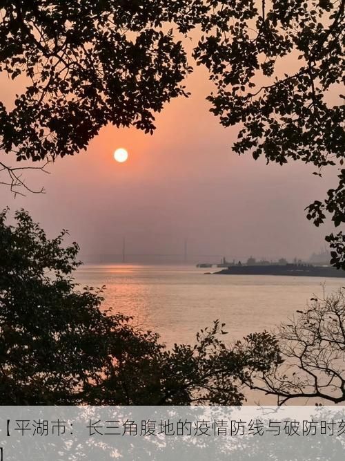 【平湖市：长三角腹地的疫情防线与破防时刻】