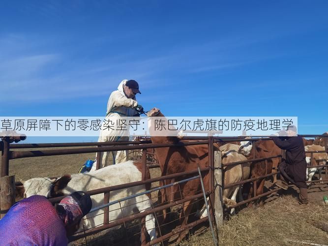 草原屏障下的零感染坚守：陈巴尔虎旗的防疫地理学