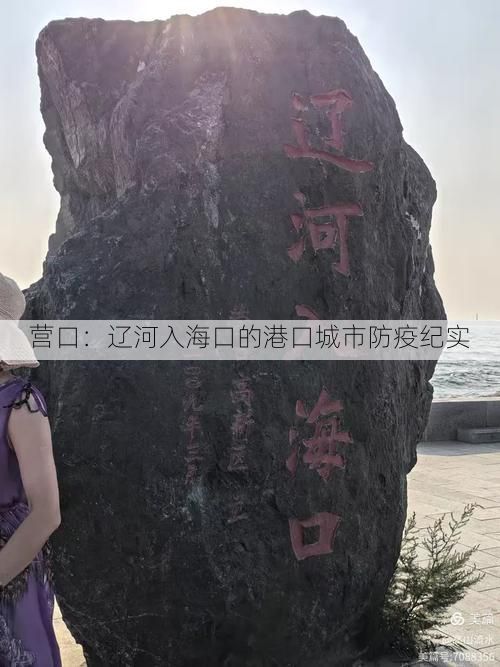 营口：辽河入海口的港口城市防疫纪实