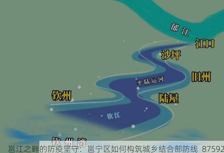 邕江之畔的防疫坚守：邕宁区如何构筑城乡结合部防线_87592