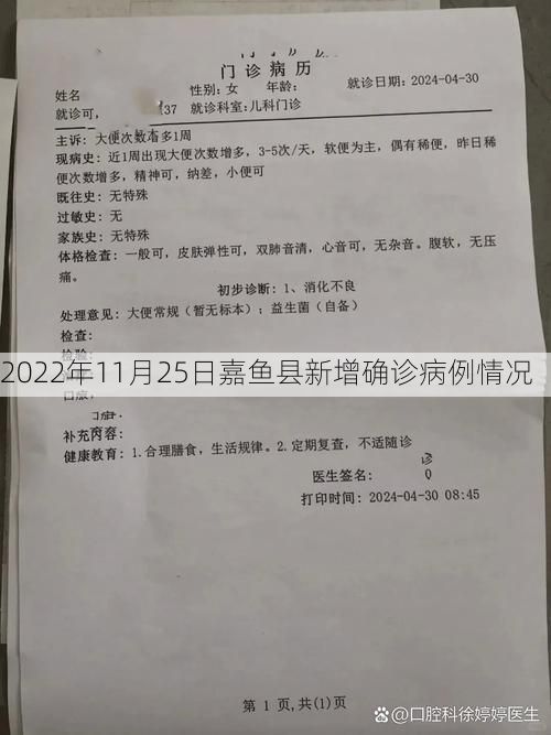 2022年11月25日嘉鱼县新增确诊病例情况