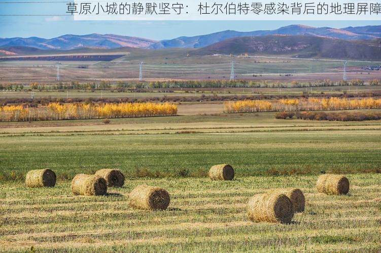 草原小城的静默坚守:杜尔伯特零感染背后的地理屏障