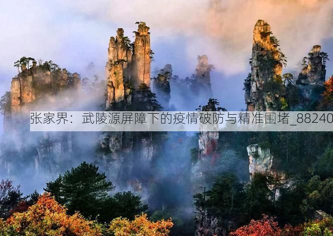 张家界:武陵源屏障下的疫情破防与精准围堵_88240