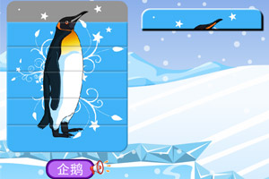 呆呆超人之极地动物拼图