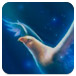 幻想天堂鸟找星星