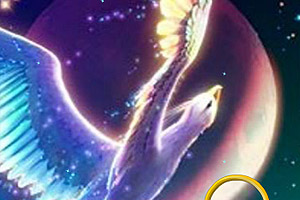 幻想天堂鸟找星星