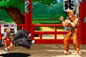 龙虎之拳