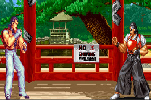 龙虎之拳