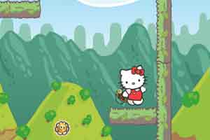 kitty大冒险
