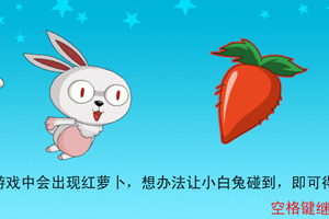 小白兔大丰收