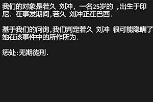 无期徒刑