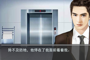 总裁之星