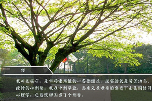 被遗忘的他